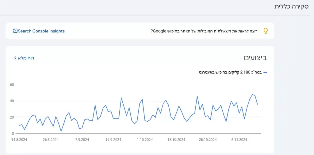 תוכנות לקידום אתרים Google Search Console