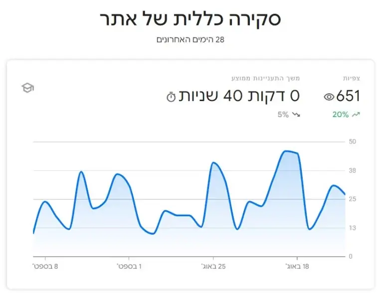 שימוש בגוגל סרץ קונסול לקידום